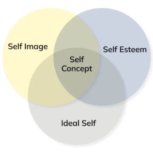 Understanding the Concept