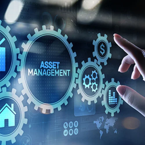 What Are Professional Assets